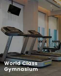 Risland Sky Mansion World Class Gym